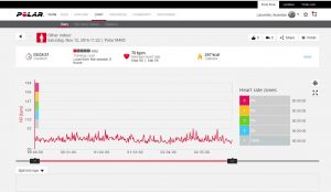 puls la simultan